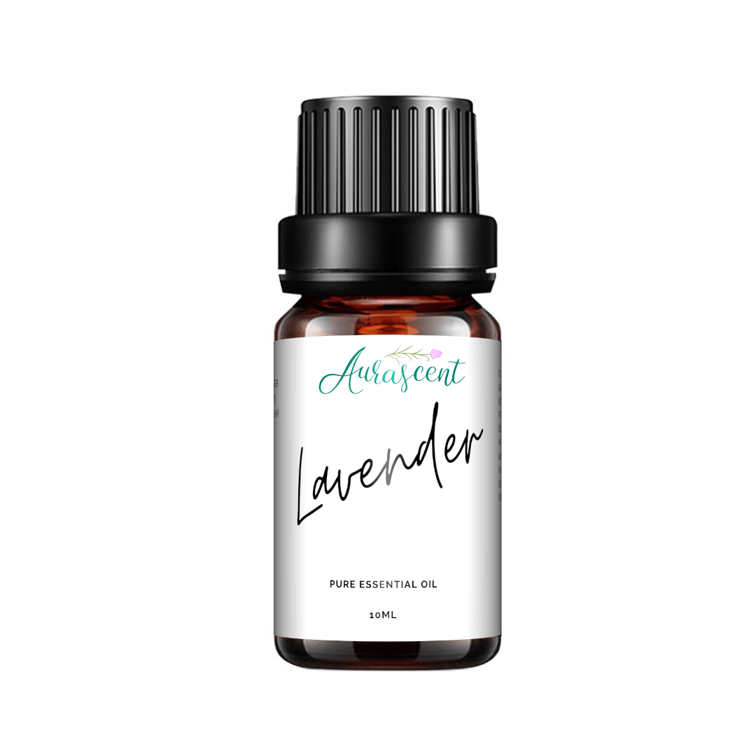 Lavender Essential Oil - 10ml-1