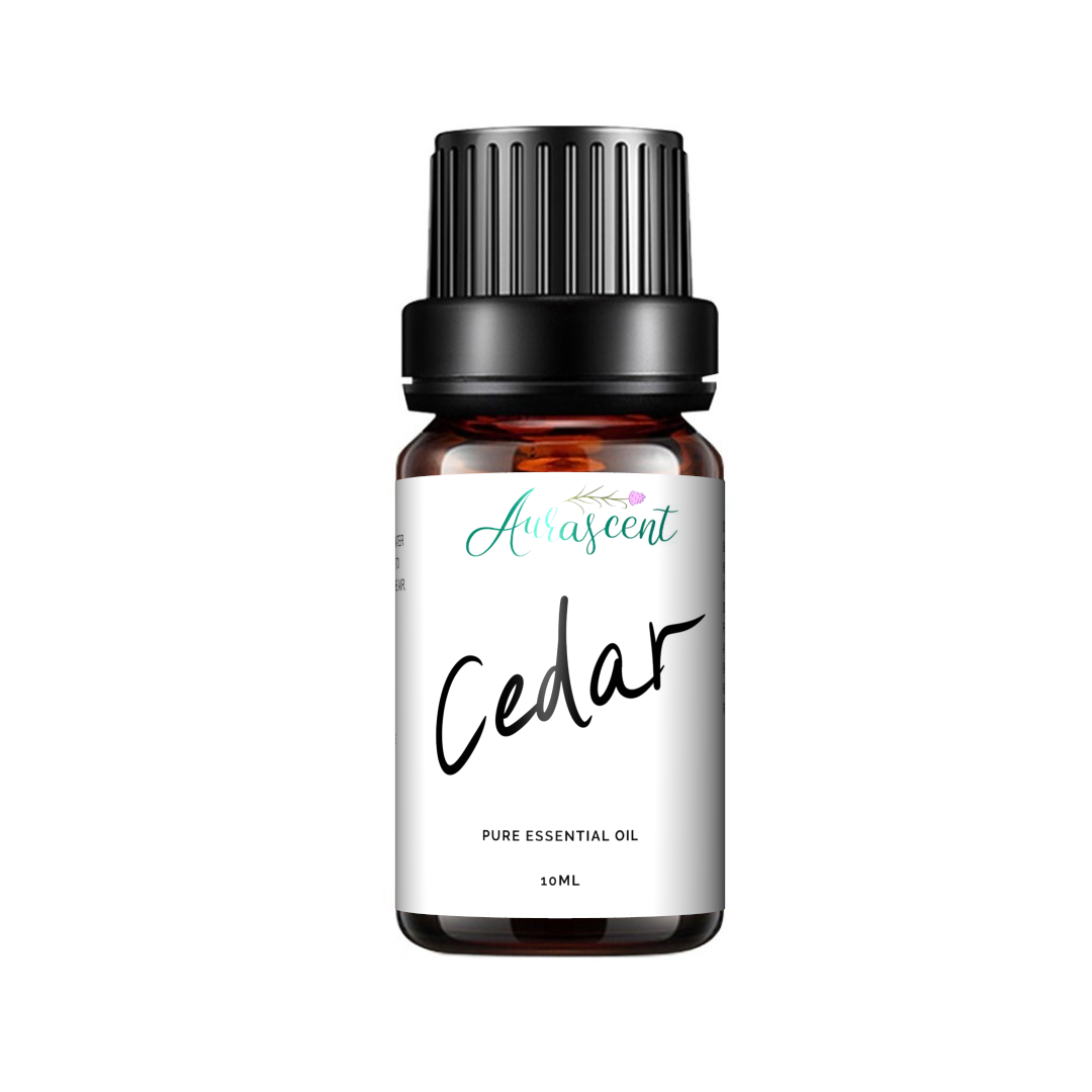 Cedar Essential Oil - 10ml-0